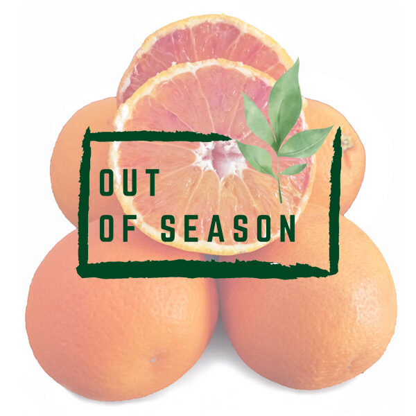 Organic Tarocco Blood Oranges out of season