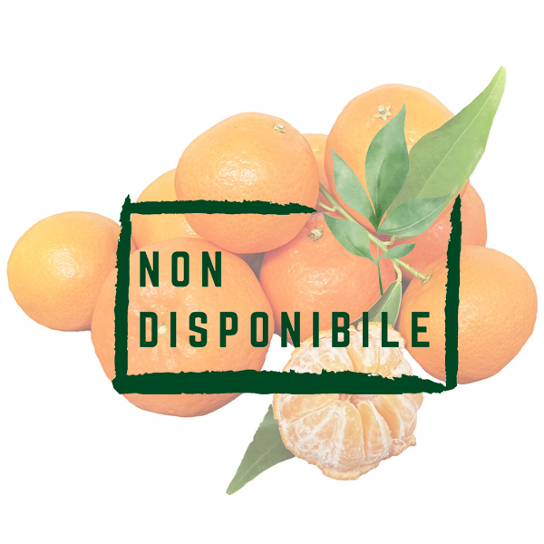 Clementine Apirene Biologiche non disponibili