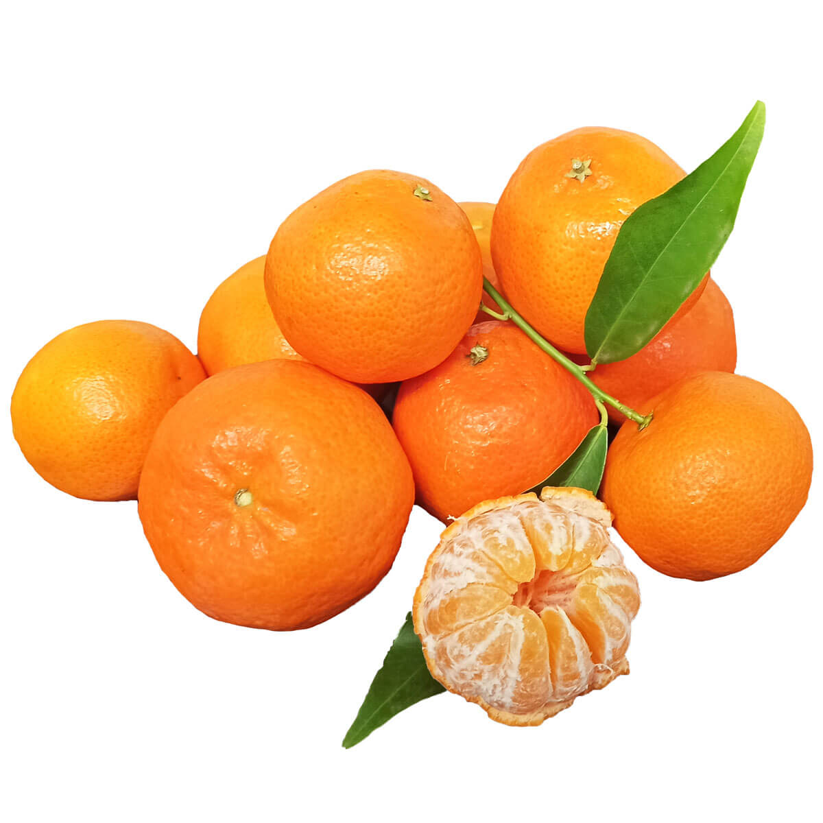 Organic Seedless Clementines