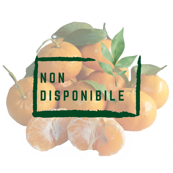 Mandarini Ciaculli Biologici non disponibile