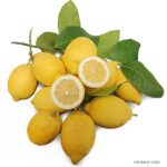 Organic Syracuse Femminello Lemons Primofiore