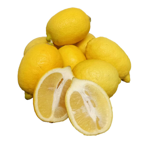 Limone Interdonato Bio