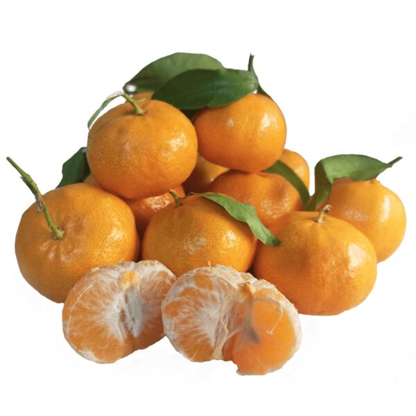 Mandarini Ciaculli Bio
